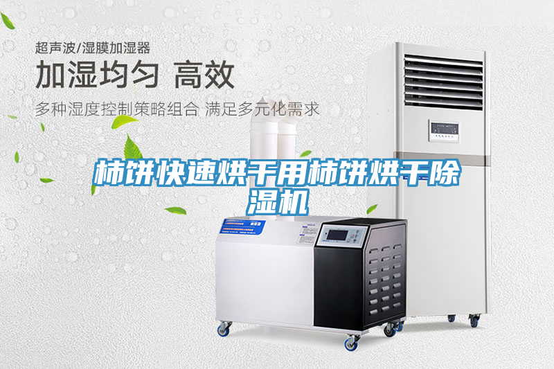 柿餅快速烘干用柿餅烘干除濕機(jī)