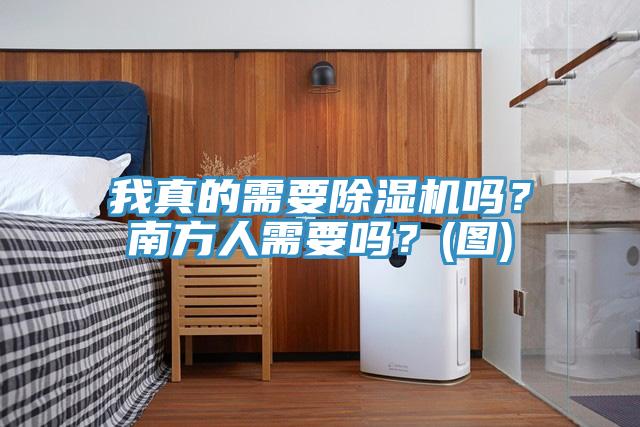 我真的需要除濕機(jī)嗎?南方人需要嗎?(圖)