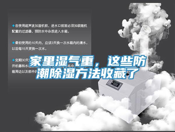 家里濕氣重，這些防潮除濕方法收藏了