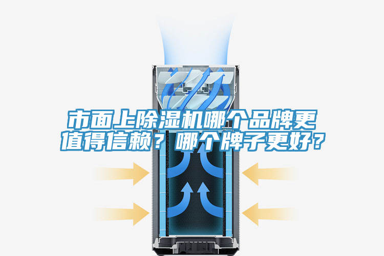 市面上除濕機哪個品牌更值得信賴？哪個牌子更好？