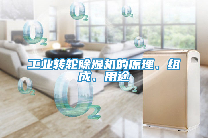 工業(yè)轉(zhuǎn)輪除濕機的原理、組成、用途