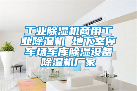 工業(yè)除濕機商用工業(yè)除濕機 地下室停車場車庫除濕設(shè)備除濕機廠家