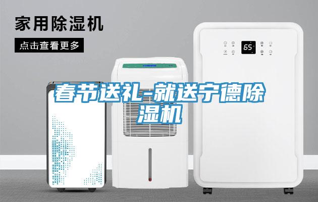 春節(jié)送禮-就送寧德除濕機(jī)