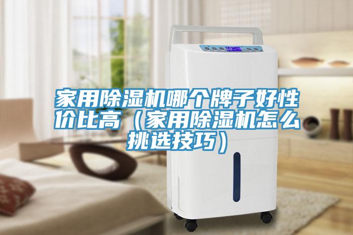 家用除濕機(jī)哪個牌子好性價(jià)比高（家用除濕機(jī)怎么挑選技巧）