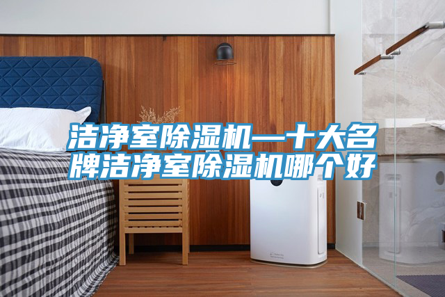 潔凈室除濕機—十大名牌潔凈室除濕機哪個好