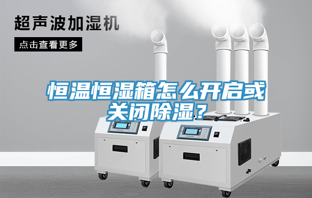 恒溫恒濕箱怎么開啟或關(guān)閉除濕？
