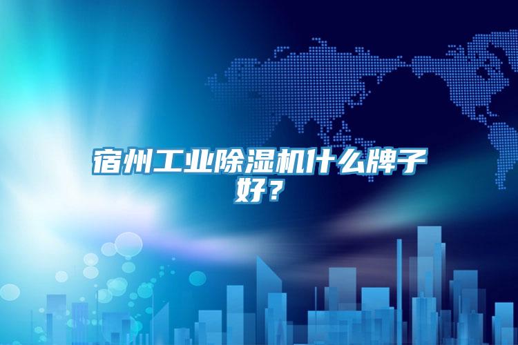 宿州工業(yè)除濕機(jī)什么牌子好？