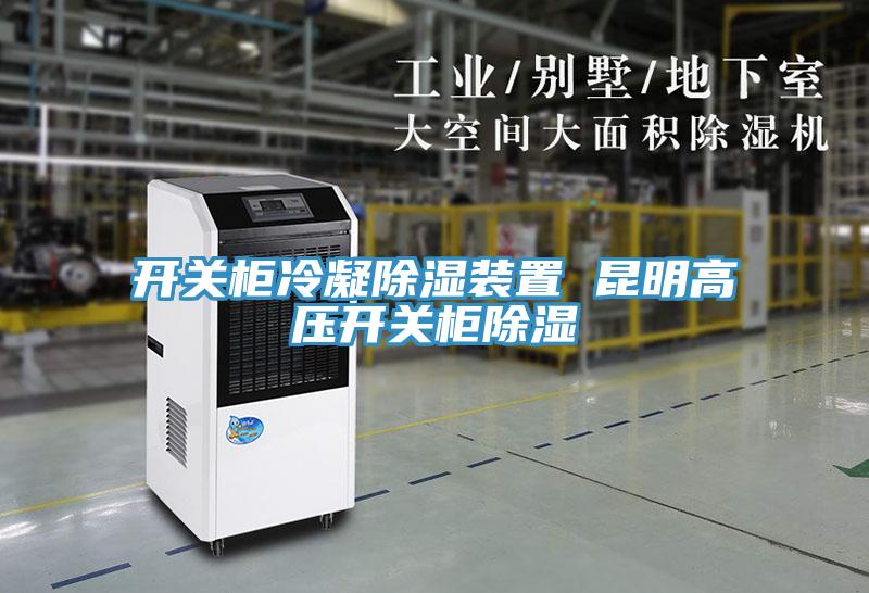 開關柜冷凝除濕裝置 昆明高壓開關柜除濕