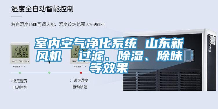 室內(nèi)空氣凈化系統(tǒng) 山東新風機  過濾、除濕、除味等效果
