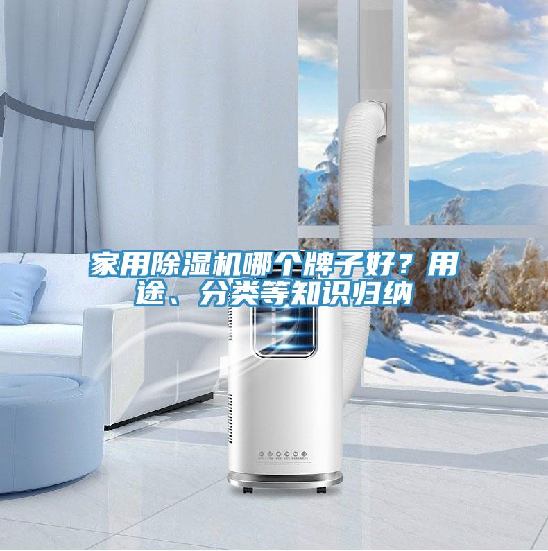 家用除濕機哪個牌子好?用途、分類等知識歸納