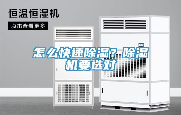 怎么快速除濕？除濕機要選對