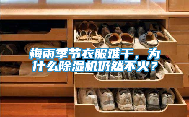 梅雨季節(jié)衣服難干，為什么除濕機(jī)仍然不火？