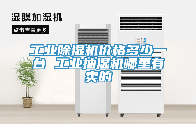工業除濕機價格多少一臺 工業抽濕機哪里有賣的