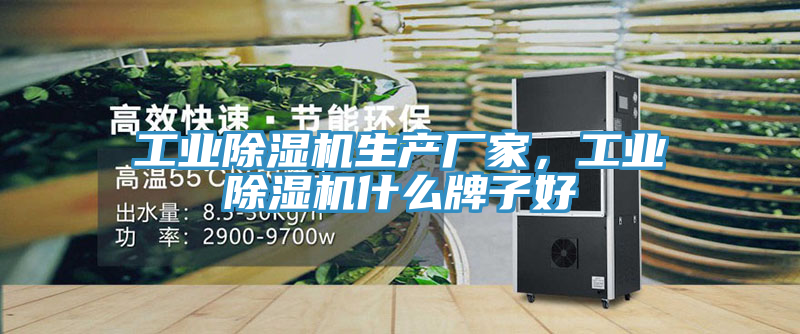 工業(yè)除濕機生產(chǎn)廠家，工業(yè)除濕機什么牌子好