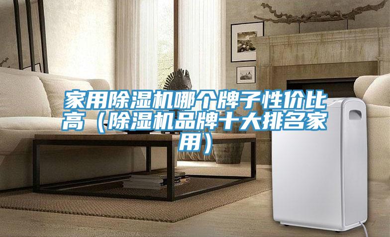 家用除濕機哪個牌子性價比高(除濕機品牌十大排名家用)
