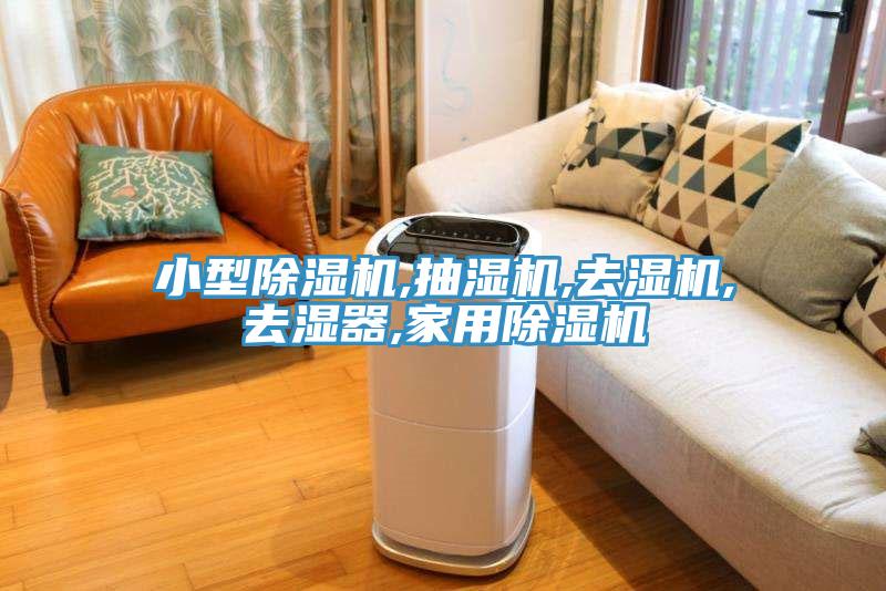 小型除濕機(jī),抽濕機(jī),去濕機(jī),去濕器,家用除濕機(jī)