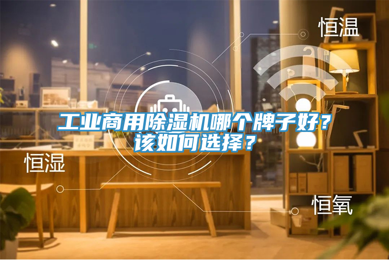 工業(yè)商用除濕機(jī)哪個牌子好？該如何選擇？