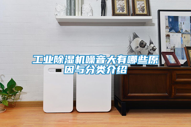 工業除濕機噪音大有哪些原因與分類介紹