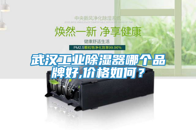 武漢工業(yè)除濕器哪個(gè)品牌好,價(jià)格如何？