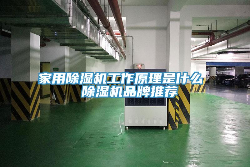 家用除濕機工作原理是什么 除濕機品牌推薦