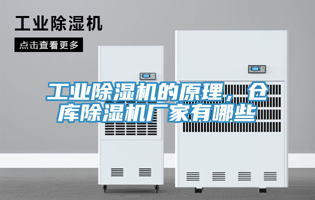 工業(yè)除濕機的原理，倉庫除濕機廠家有哪些