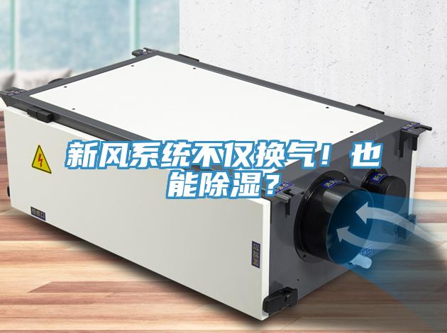 新風(fēng)系統(tǒng)不僅換氣！也能除濕？