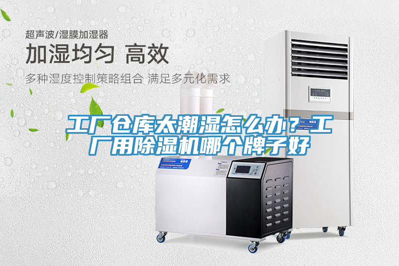 工廠倉庫太潮濕怎么辦？工廠用除濕機哪個牌子好