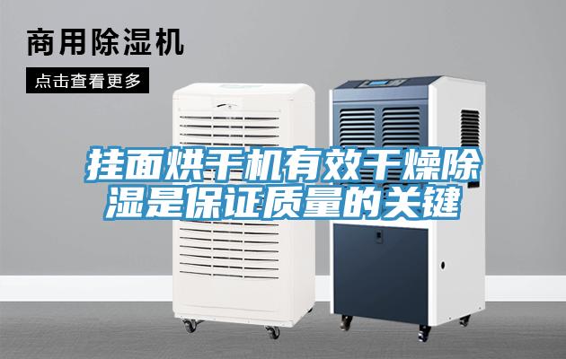 掛面烘干機有效干燥除濕是保證質量的關鍵
