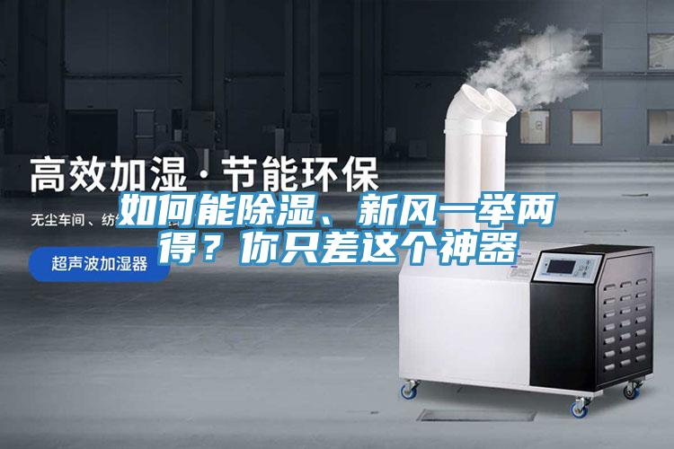 如何能除濕、新風(fēng)一舉兩得？你只差這個神器