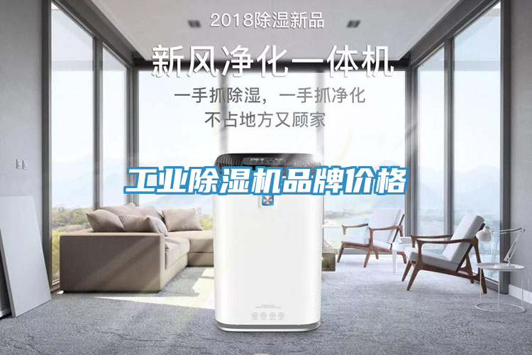工業(yè)除濕機品牌價格