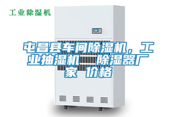 屯昌縣車間除濕機，工業抽濕機  除濕器廠家 價格