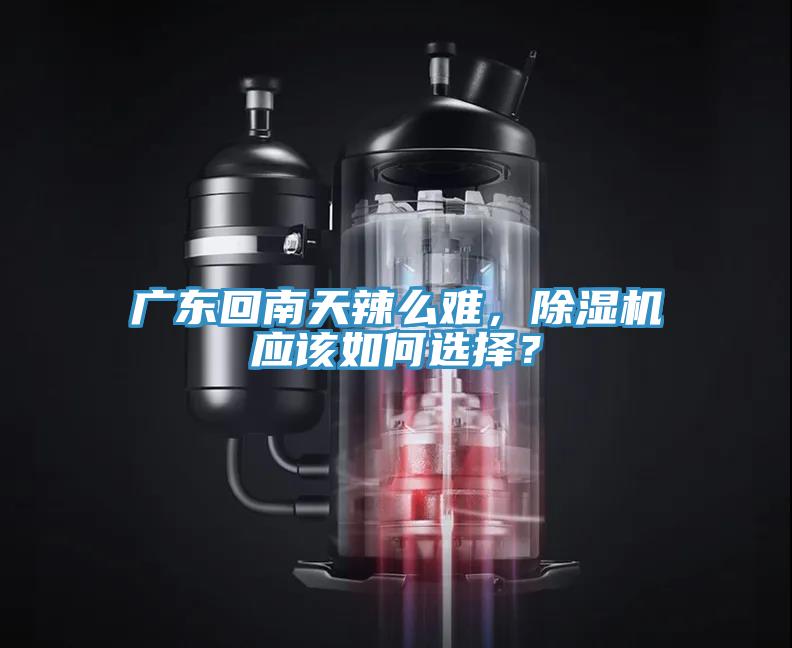 廣東回南天辣么難，除濕機(jī)應(yīng)該如何選擇？