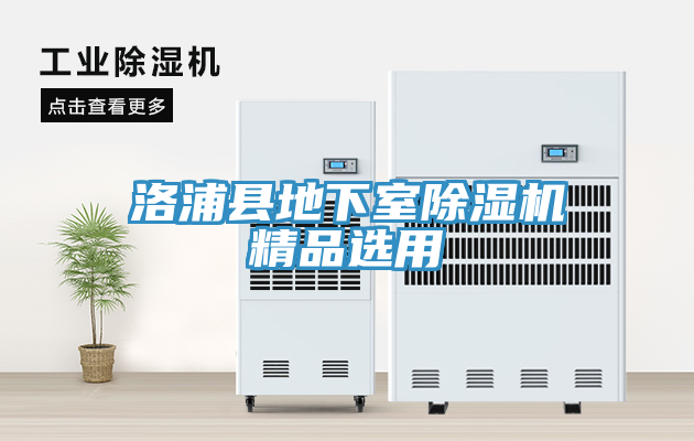 洛浦縣地下室除濕機精品選用