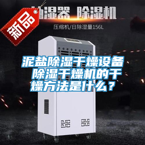 泥鹽除濕干燥設(shè)備 除濕干燥機的干燥方法是什么？
