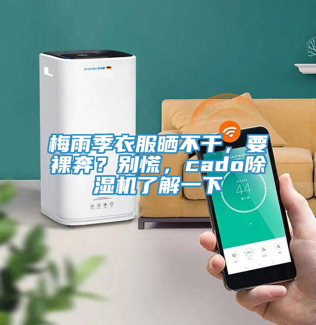 梅雨季衣服曬不干，要裸奔？別慌，cado除濕機(jī)了解一下