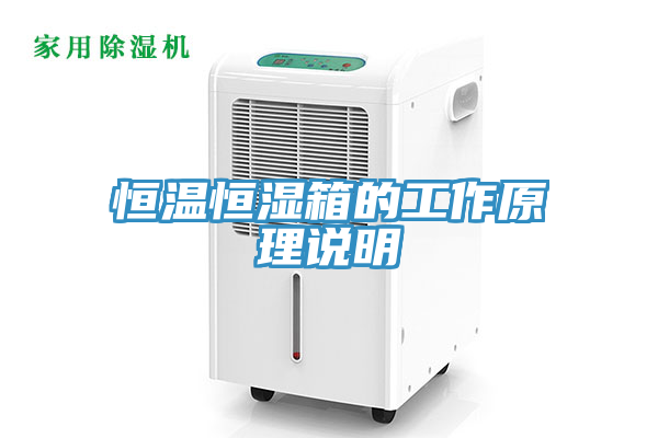 恒溫恒濕箱的工作原理說明