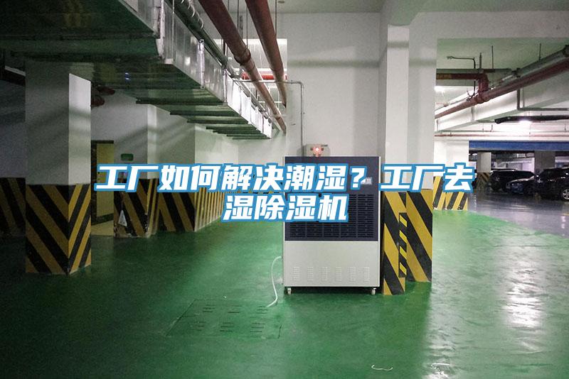 工廠如何解決潮濕？工廠去濕除濕機