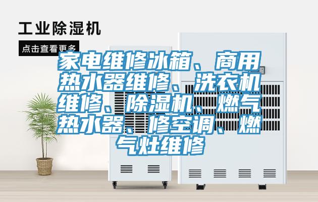 家電維修冰箱、商用熱水器維修、洗衣機(jī)維修、除濕機(jī)、燃?xì)鉄崴鳌⑿蘅照{(diào)、燃?xì)庠罹S修