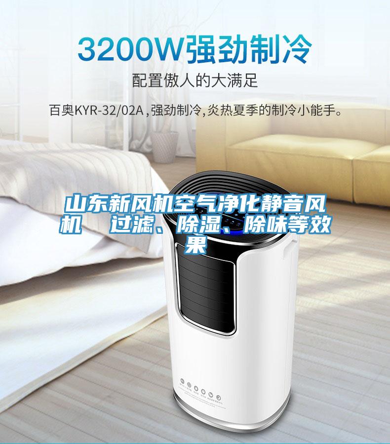 山東新風(fēng)機(jī)空氣凈化靜音風(fēng)機(jī)  過濾、除濕、除味等效果