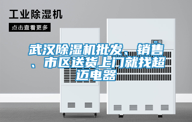 武漢除濕機批發、銷售、市區送貨上門就找超邁電器