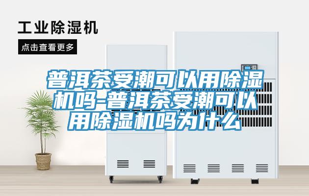 普洱茶受潮可以用除濕機(jī)嗎-普洱茶受潮可以用除濕機(jī)嗎為什么
