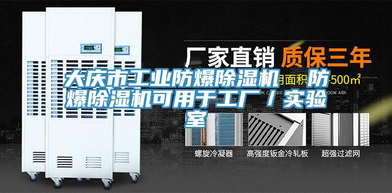 大慶市工業防爆除濕機 防爆除濕機可用于工廠/實驗室