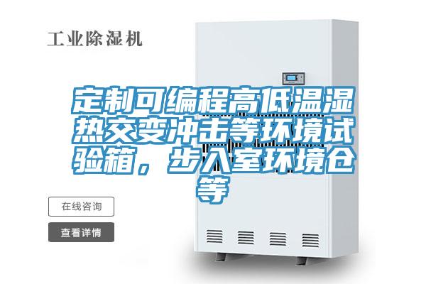 定制可編程高低溫濕熱交變沖擊等環(huán)境試驗(yàn)箱,步入室環(huán)境倉(cāng)等