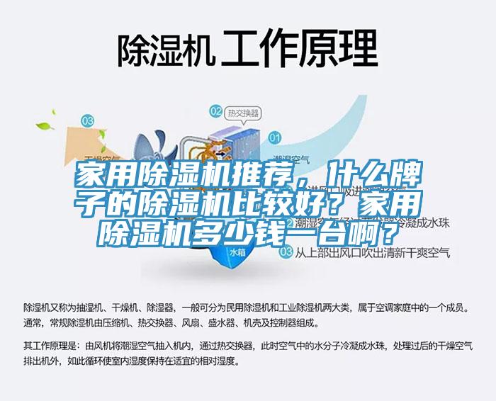 家用除濕機推薦，什么牌子的除濕機比較好？家用除濕機多少錢一臺??？