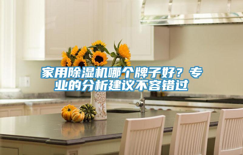 家用除濕機哪個牌子好?專業的分析建議不容錯過