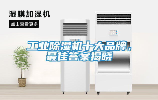 工業(yè)除濕機(jī)十大品牌，最佳答案揭曉
