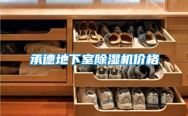 承德地下室除濕機(jī)價格