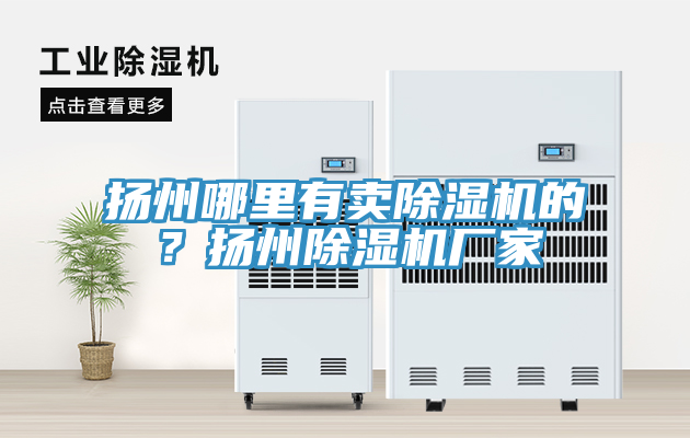 揚州哪里有賣除濕機(jī)的？揚州除濕機(jī)廠家