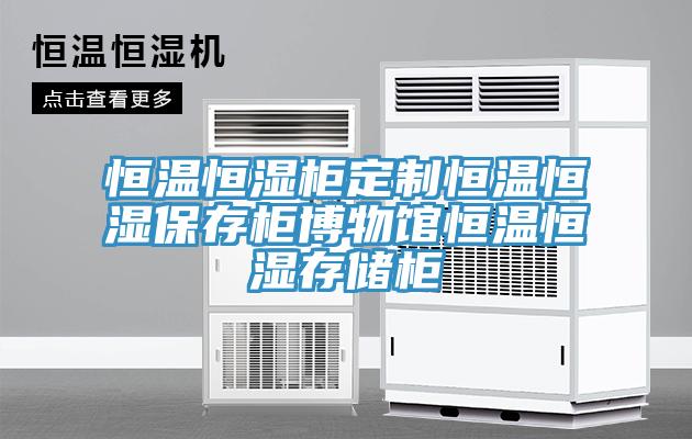 恒溫恒濕柜定制恒溫恒濕保存柜博物館恒溫恒濕存儲柜