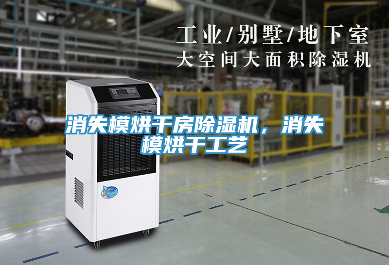 消失模烘干房除濕機(jī)，消失模烘干工藝